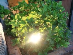 -湘邻呷铺·田园家宴(汉基广场店)