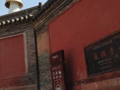 -五台山风景名胜区-罗睺寺