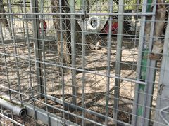 -大连铭湖国际观光牧场