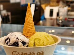 -极拉图·现制冰淇淋(大卫城店)