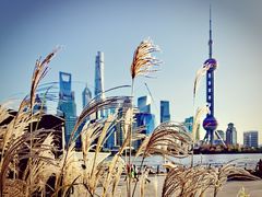 -北外滩滨江绿地