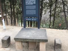 -延安杨家岭革命旧址