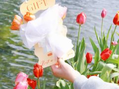 -静宜和她的朋友(星海广场店)