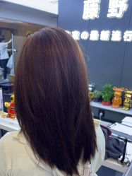 -藤野造型