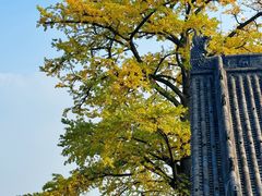 -金堂县云顶石城风景区