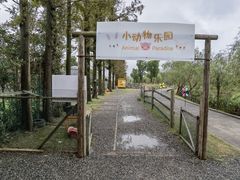 -前小桔亲子创意农场·草莓采摘·露营烧烤