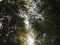 -穹窿山景区
