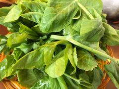 -野菌皇海景野生菌火锅(滨海大道店)