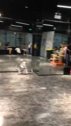 -CASTER跳舞俱乐部