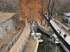 -白水寺森林公园