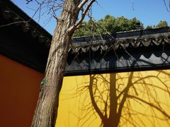 -西园戒幢律寺