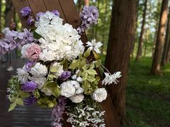 -黄海国家森林公园