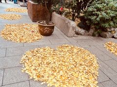 -龙华寺