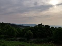 -铁山坪森林公园