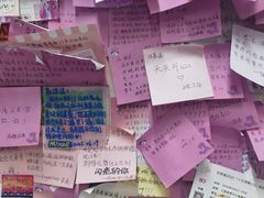 -雨霖祥和炖肉(南市店)