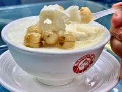 冰冻莲子鲜奶-义顺牛奶公司