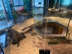 -昆明大悦城未来动物城(螺蛳湾中心店)