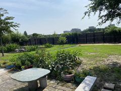 -南汇新场正宗水蜜桃采摘