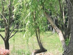 -幕燕滨江·长江观音景区