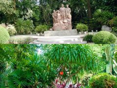 -中国科学院西双版纳热带植物园