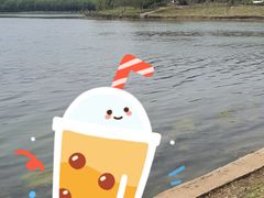 -丁香湖公园