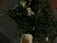 -建平中学西校