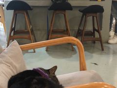 大堂-唐咖精品咖啡(大理古城手冲店)