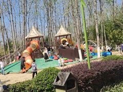 -合肥滨湖国家森林公园