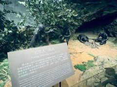 -北京周口店北京人遗址博物馆