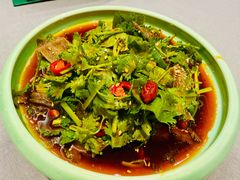 凉拌黑毛肚-金哥私房菜馆(张府园总店)