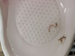 -南宫温泉水世界