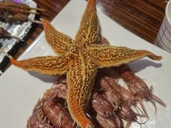 -蚝堡海鲜·威海菜·海肠捞饭·烧烤·亚洲吃蚝公司(幸福门店)