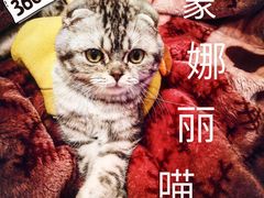 -贝利宠物医院·骨科·眼科·肿瘤转诊中心(南坪诊疗中心)
