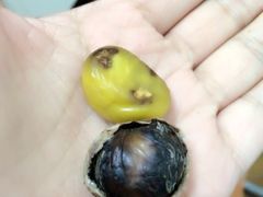 iphone_upload_pic-方林富炒货店(西溪路78号本人店)