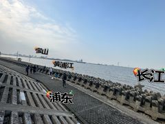 -上海滨江森林公园