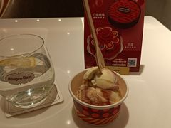 -哈根达斯(武汉天地店)