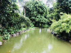 -珠海圆明新园