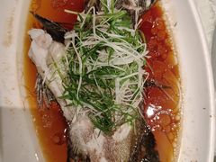 -大东海海鲜酒楼(渔人码头总店)