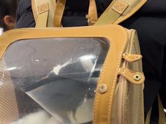 -瑞鹏瑞爱宠物医院·全科·猫科·血液透析中心(龙头寺店)