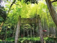-杭州黄龙洞