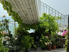 -Vanillacafe香草咖啡(银海大世界店)