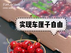 -海吉星市场