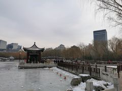 -莲花池公园