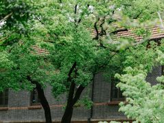 -华东政法大学(松江校区)