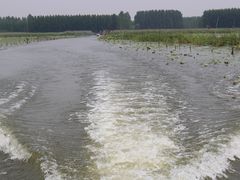 -微山湖红荷湿地景区