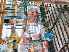 -南宫温泉水世界