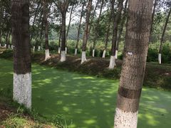 -东郊湿地公园