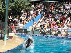 -宁波野生动物园