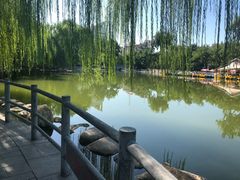 -莲湖公园