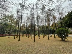 -晓港公园